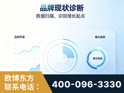 监利-品牌现状诊断