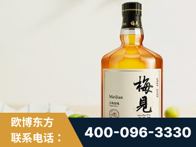 监利-梅见青梅酒